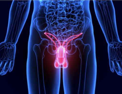 4 Tips Menjaga Kesehatan Organ Reproduksi Pria