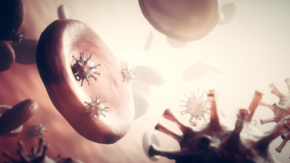 Fakta Soal Hiperendemi yang Perlu Diketahui