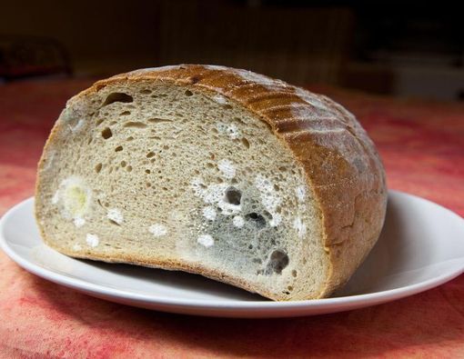 Jangan Dimakan, Ini 5 Bahaya Mengonsumsi Makanan Kedaluwarsa