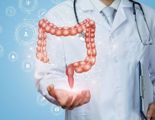 Mengenal Usus Besar dan Risiko Penyakit yang Menyerang