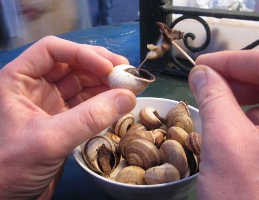 Manfaat Konsumsi Bekicot untuk Tingkatkan Kesuburan Pria