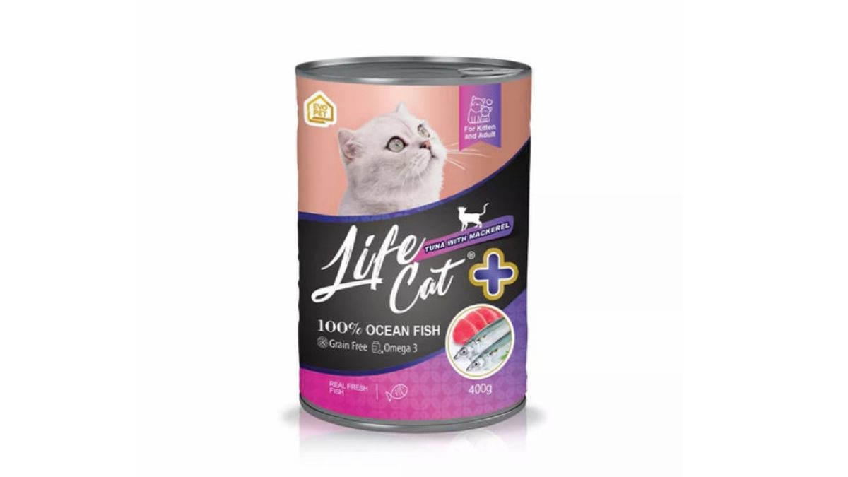 Lofiecat Kitten Tuna 400gr
