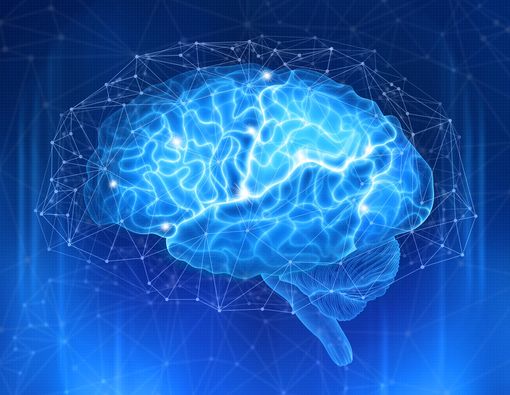 Benarkah Lemak Tubuh Pengaruhi Volume Otak?