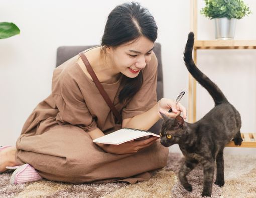 20 Fakta Unik, Menarik, dan Mistis tentang Peliharaan Kucing