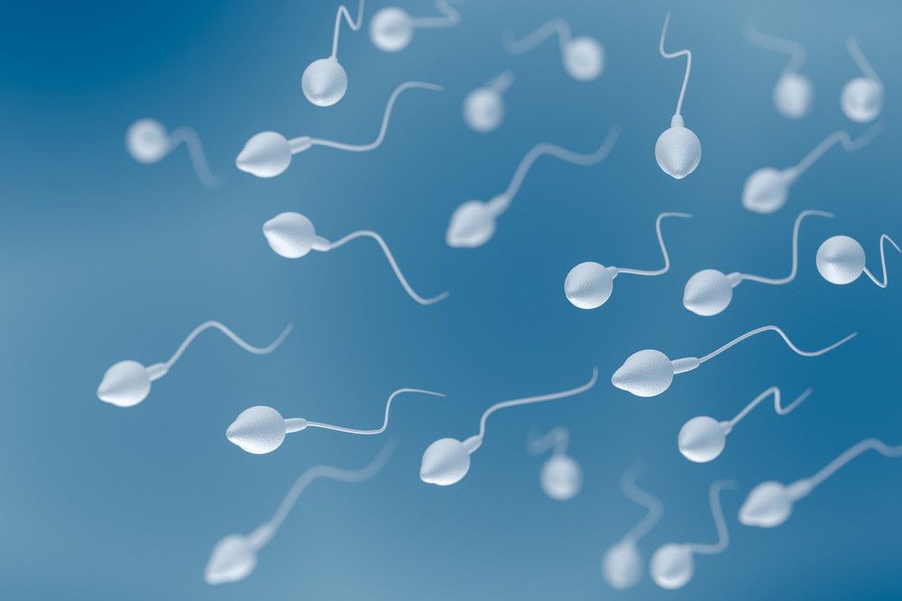 Pria dengan Jumlah Sperma Sedikit Rentan Kena Penyakit?