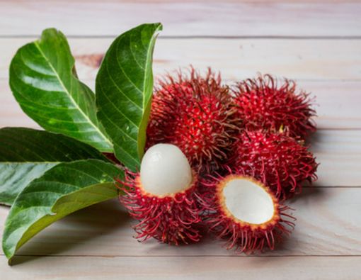 Mengupas Kandungan Gizi dan Manfaat Buah Rambutan