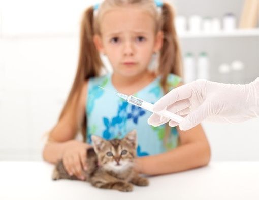 5 Cara Agar Anak Tidak Takut Jarum Suntik