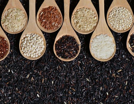 Dampak Diet Rendah Karbo Jangka Panjang bagi Kesehatan