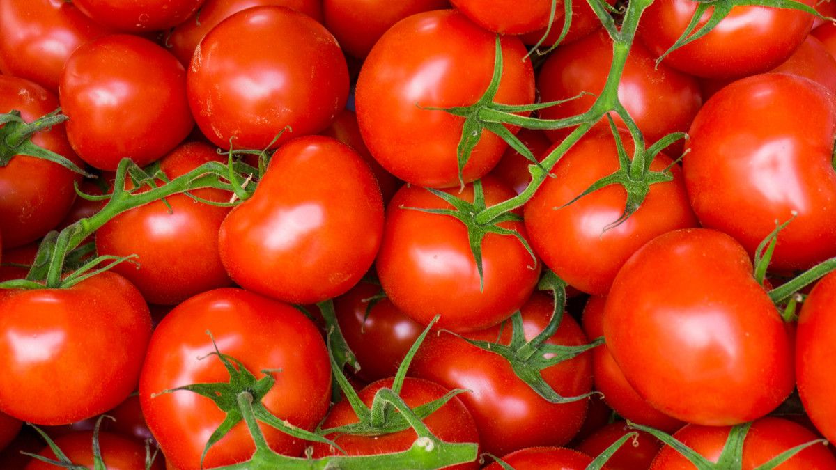 Tomat (Ewa Studio/Shutterstock)