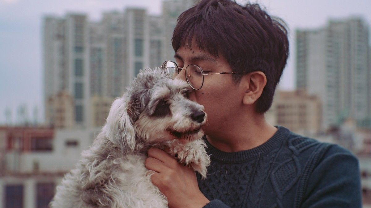 Studi Baru Tunjukkan Bahwa Anjing Bisa Mendeteksi Penyakit dengan Bau