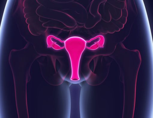 Untuk Mencegah Kanker Serviks, Kapan Wanita Perlu Vaksin HPV?