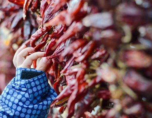 Kapan Anak Boleh Konsumsi Makanan Pedas?