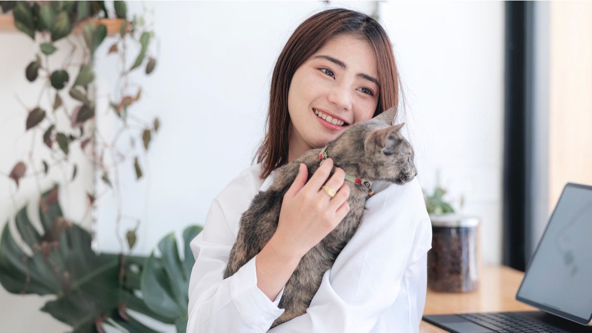 Benarkah Parasit Kucing Bisa Mengubah Perilaku Manusia?