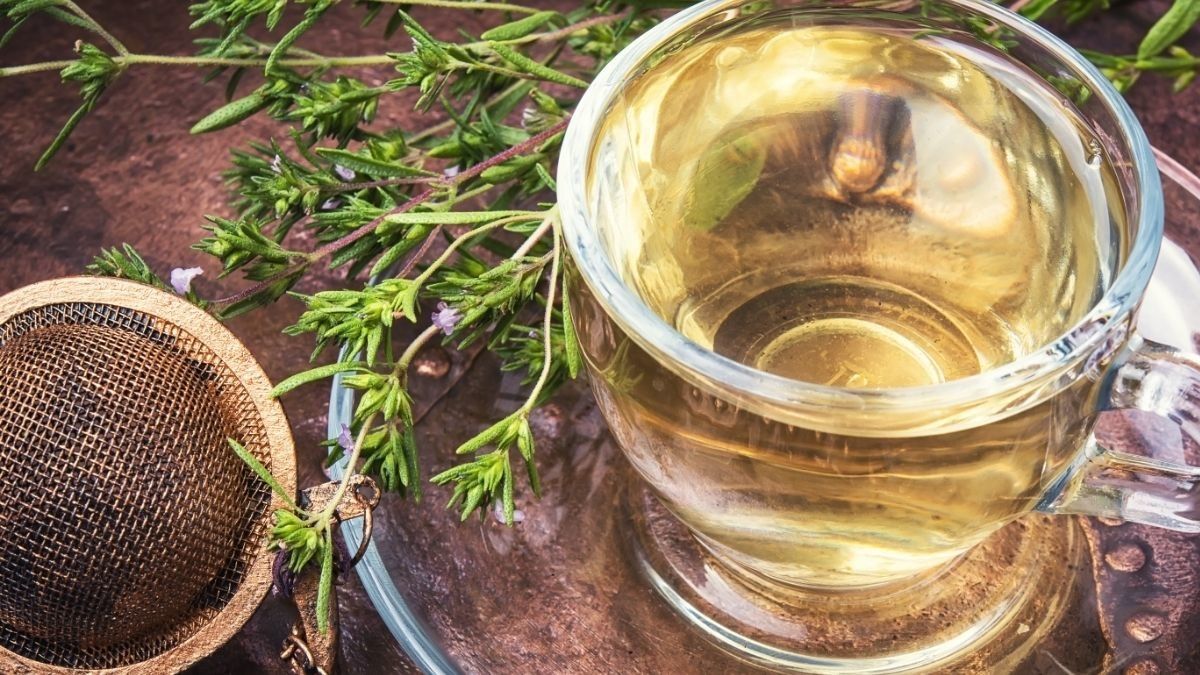 Manfaat Teh Oregano untuk Kesehatan Tubuh