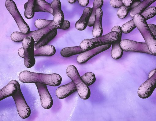 Mengenal Bakteri Penyebab Difteri dan Cara Menghindarinya