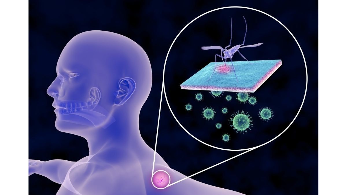 Bahaya Virus West Nile yang Perlu Kamu Waspadai