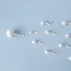 Apakah Benar Kelainan Bentuk Penis Bisa Menyebabkan Sulit Punya Anak?
