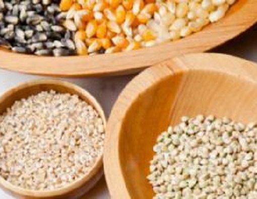 Gandum dan Biji-bijian Terbukti Menurunkan Resiko Kanker Usus