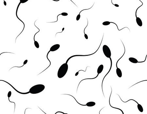 4 Fakta dan Mitos Sperma yang Belum Anda Tahu