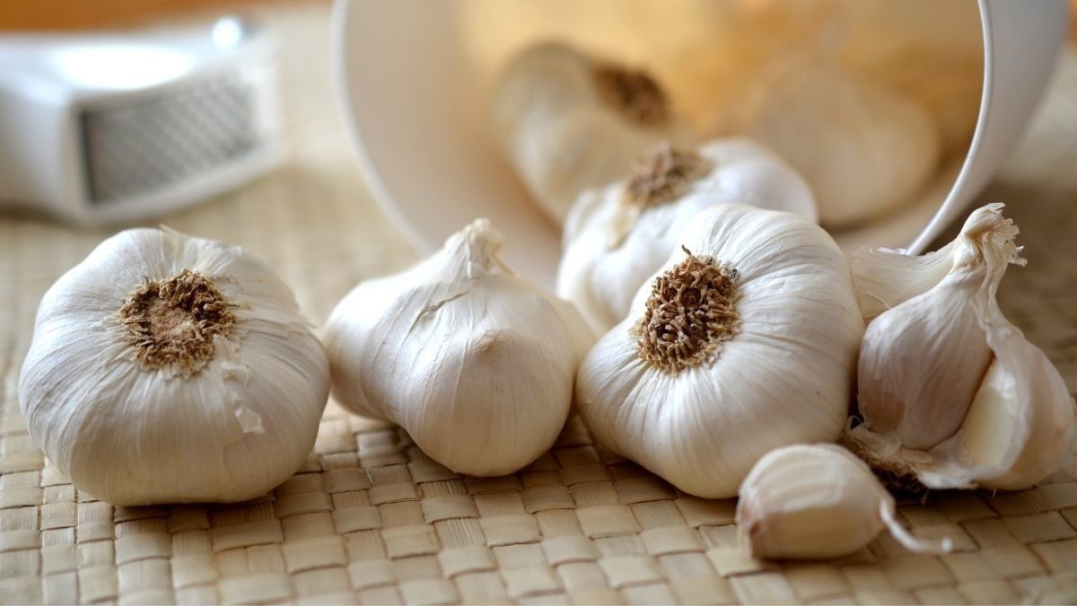 Deretan Obat Herbal TBC yang Mudah Diperoleh