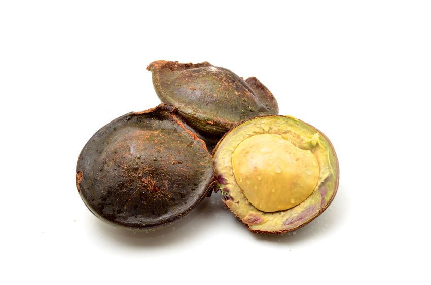 Fakta di Balik Cek Kesehatan Ginjal Lewat Jengkol