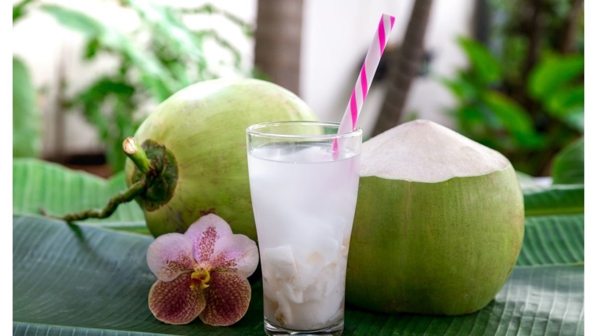 Benarkah Air Kelapa Hijau Bisa Tingkatkan Gairah di Ranjang?