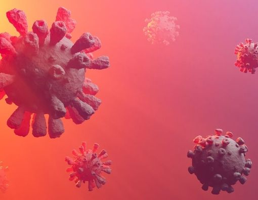 Asal-Usul Virus Corona Berdasarkan Hasil Penelitian WHO