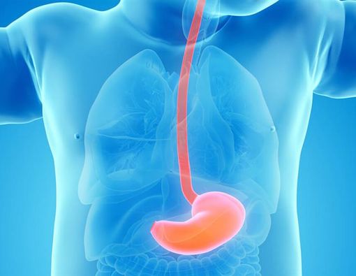 Apa Saja Manfaat Puasa untuk Fungsi Lambung?
