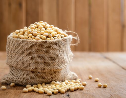 Kedelai untuk Kesehatan Pria, Kawan atau Lawan?