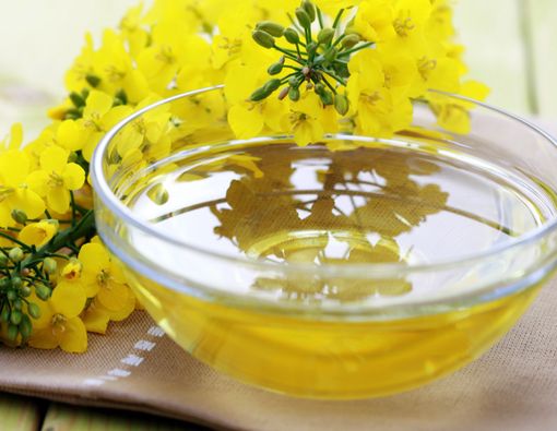 Benarkah Minyak Kanola Lebih Sehat untuk Dikonsumsi?