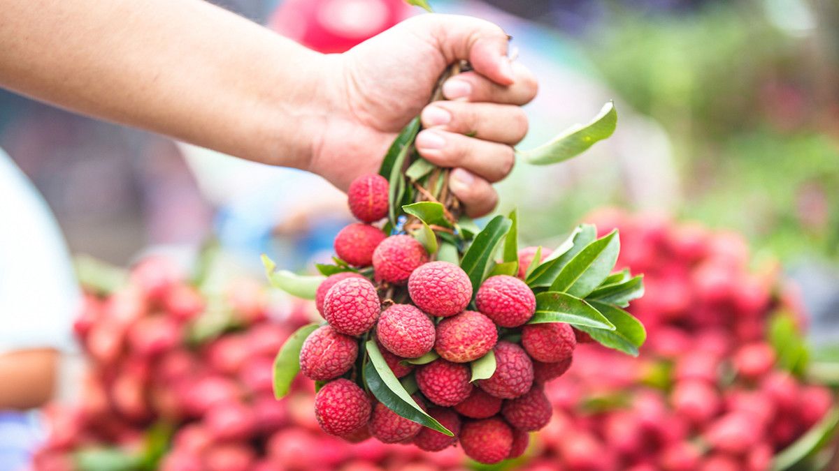 Deretan Buah yang Berbahaya Jika Dikonsumsi Sembarangan