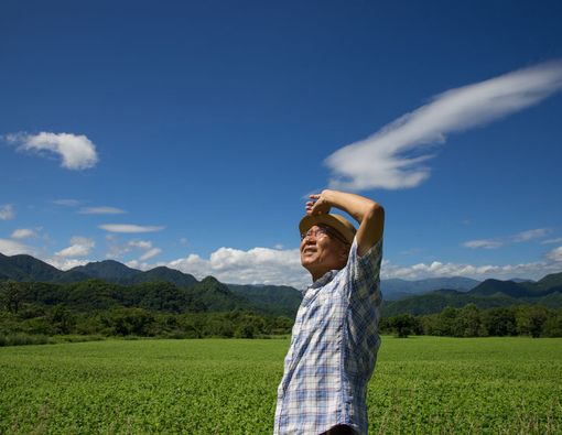 Kiat Hidup Sehat lebih Lama Seperti Manusia Blue Zone