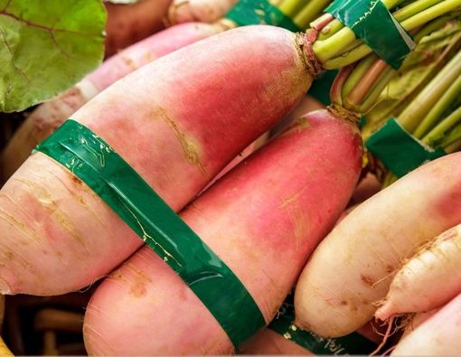 Benarkah Makan Lobak Bisa Memperbesar Payudara?