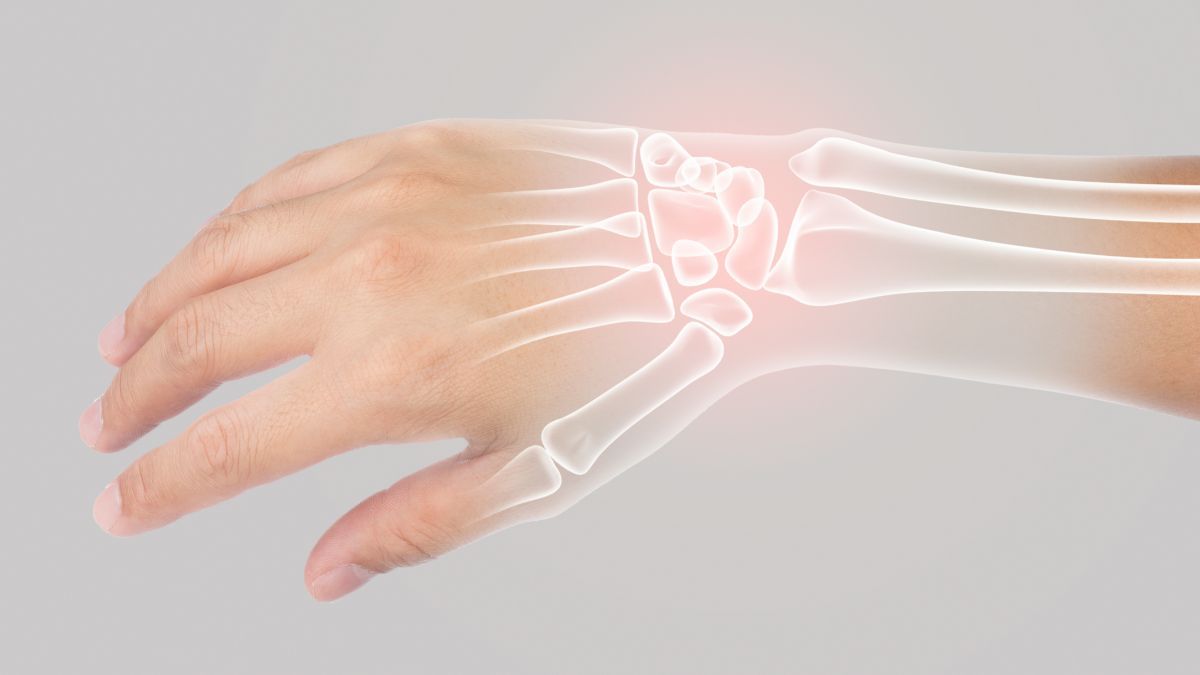 fungsi tulang pergelangan tangan