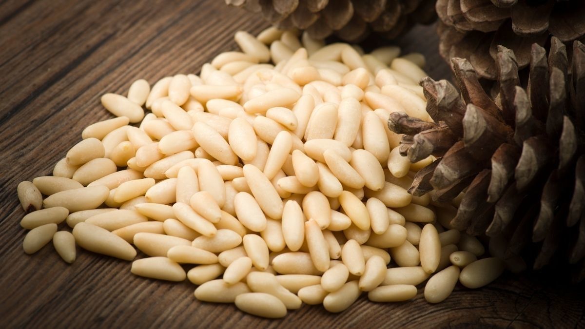 Alasan Mengapa Ada Rasa Logam di Dalam Mulut KlikDokter