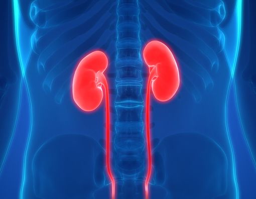 5 Kebiasaan Ini Bisa Merusak Ginjal