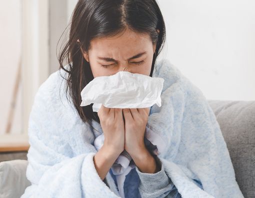 Cegah Flu dengan Polinacea, Seberapa Efektif?