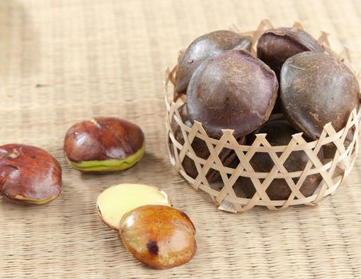 Baca Ini Sebelum Makan Jengkol