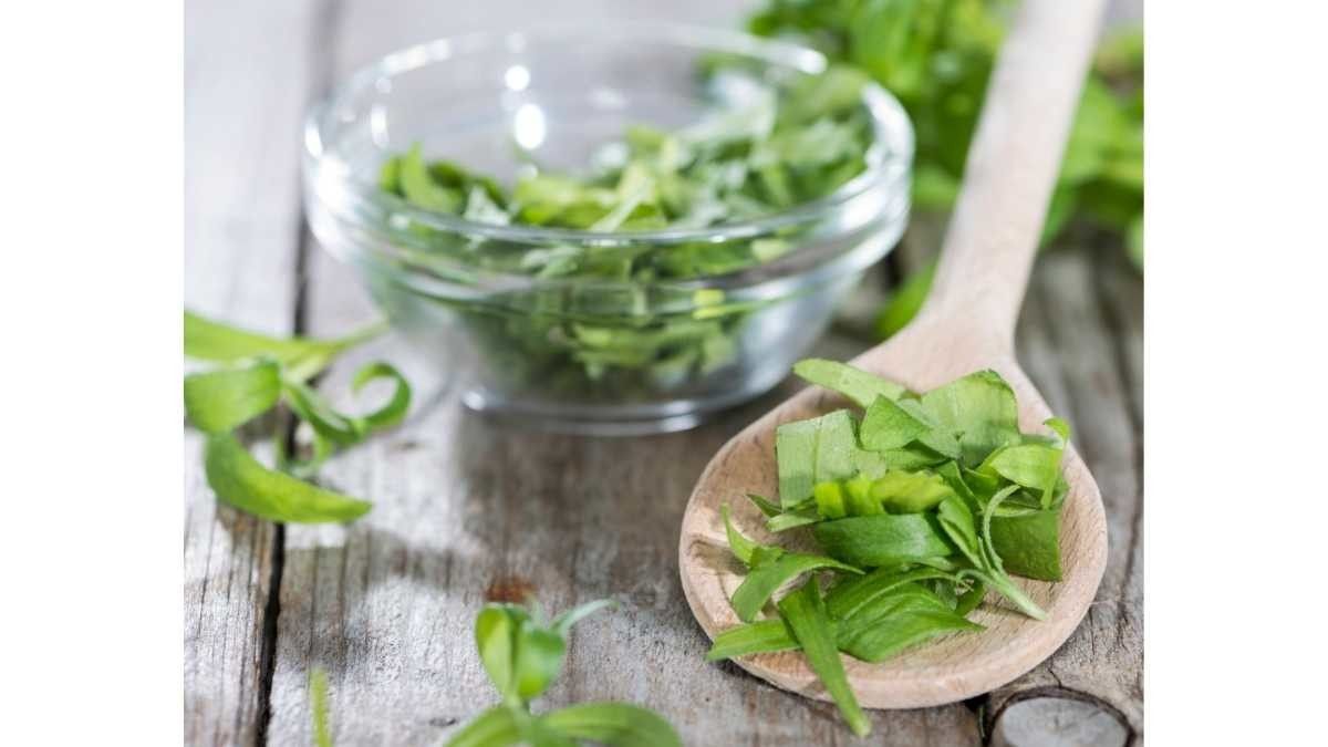 Manfaat Tanaman Tarragon Bagi Kesehatan