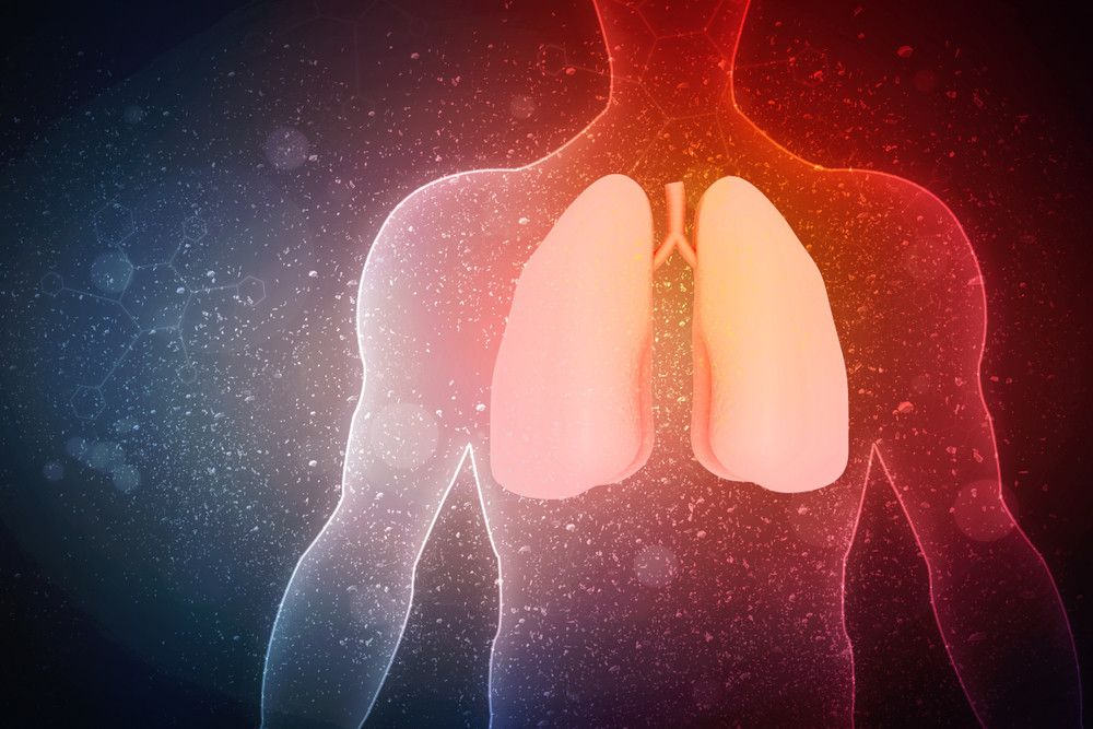 Bersihkan Organ Paru dengan 6 Bahan Alami Ini