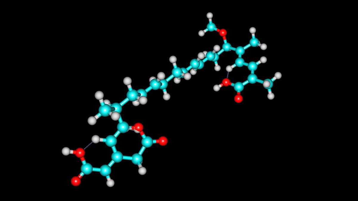 Hati-hati, Racun Asam Bongkrek Bisa Mematikan!