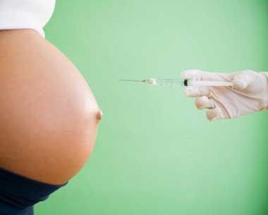 Flu Babi Sebabkan 39 Bayi Sekarat