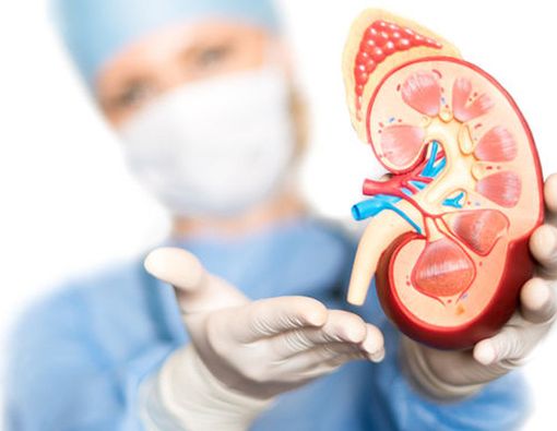 Seberapa Cepat Gagal Ginjal Bisa Menyerang Anda?