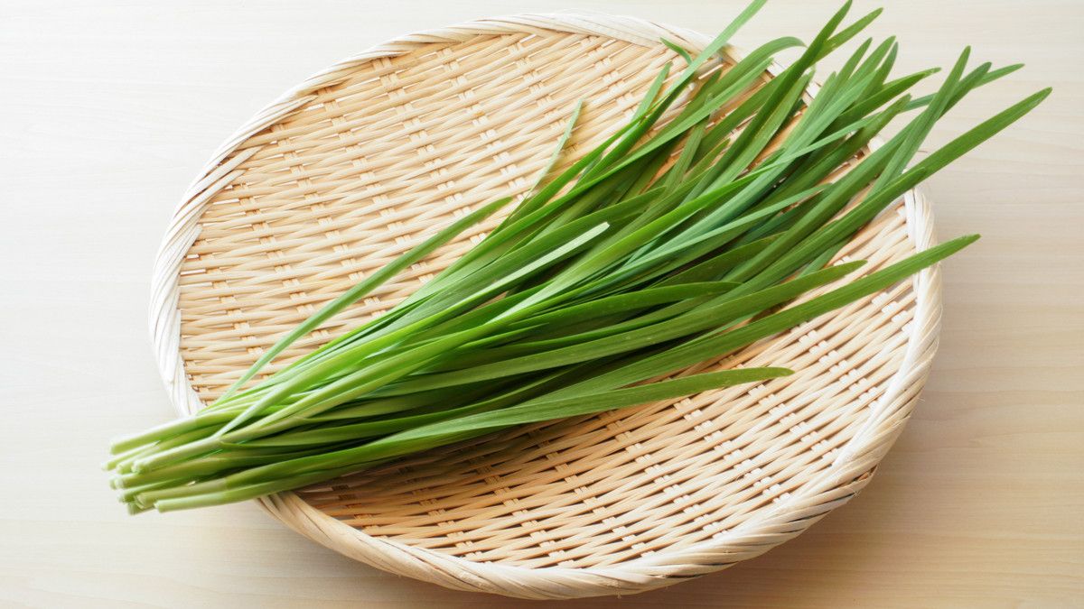 Sejuta Manfaat Daun Kucai yang Jarang Diketahui Orang