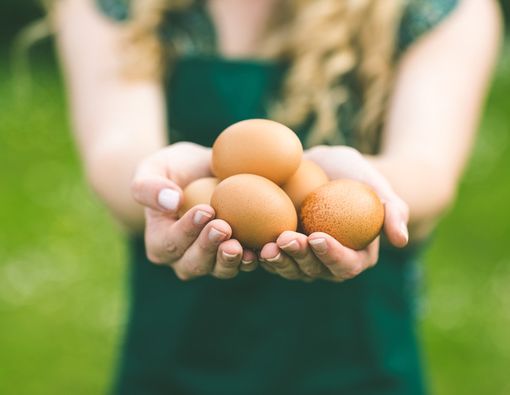 Turunkan Demam dengan Putih Telur, Mitos atau Fakta?