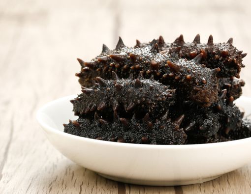 Mengenal Berbagai Manfaat Teripang untuk Kecantikan Kulit Anda