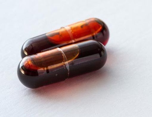 Amankah Minyak Krill untuk Kolesterol?