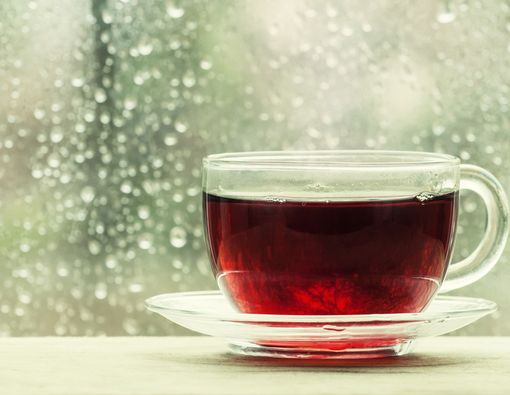 Musim Hujan Rawan Penyakit, Jaga Daya Tahan dengan Ramuan Teh Herbal Ini