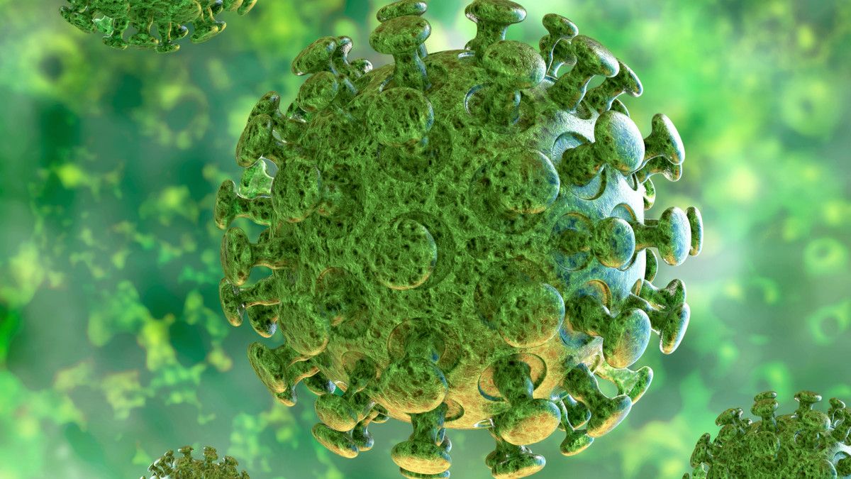 Ternyata, Penyakit Misterius di Cina Disebabkan oleh Virus Corona!