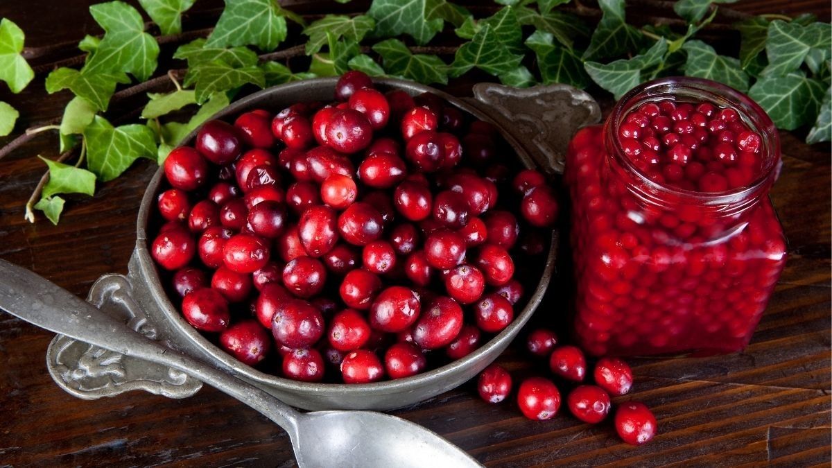 Benarkah Buah Cranberry Bisa Atasi Flu?
